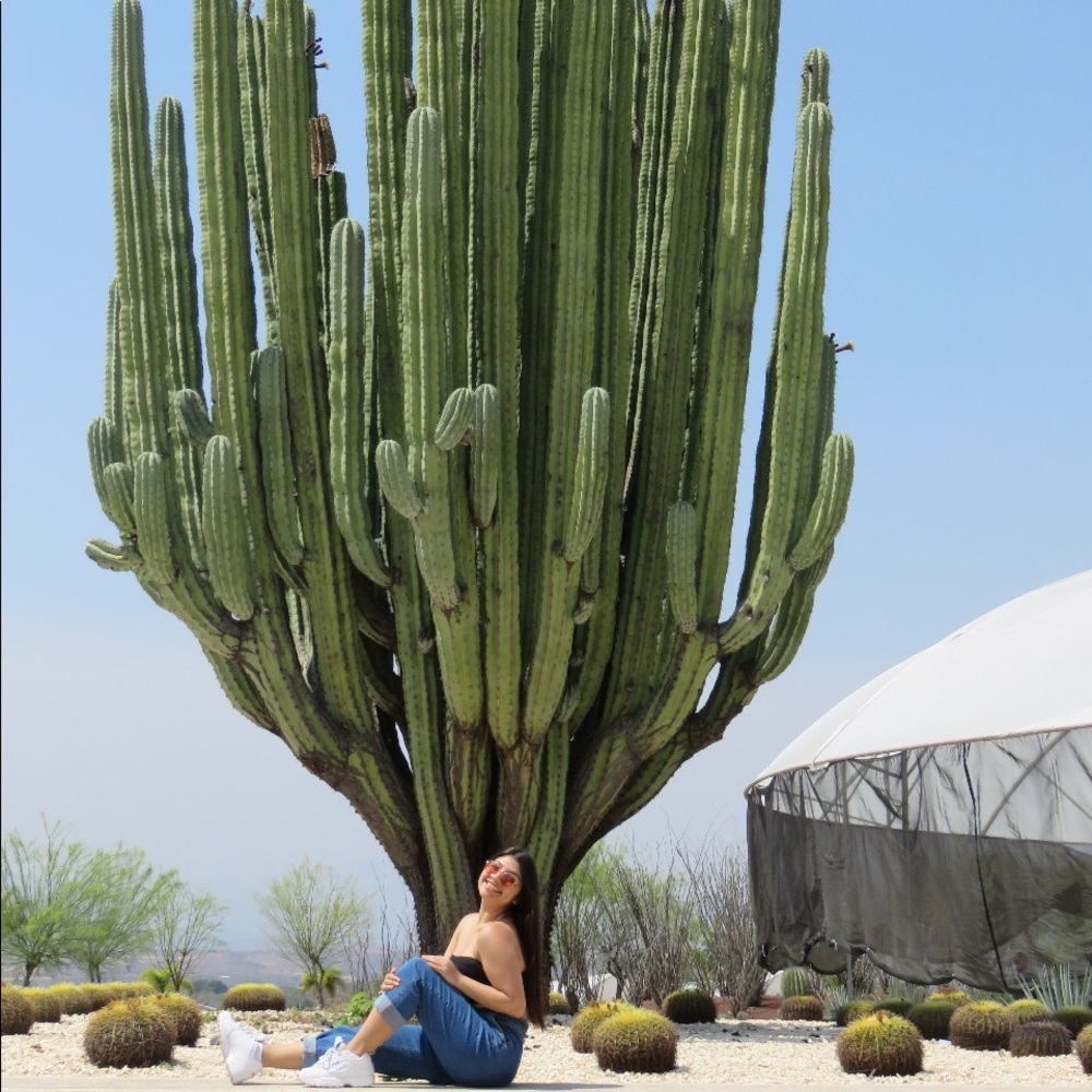 Meet your Posher, Dulce